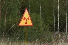 &lt;p&gt;Crvena šuma Černobil&lt;/p&gt;
