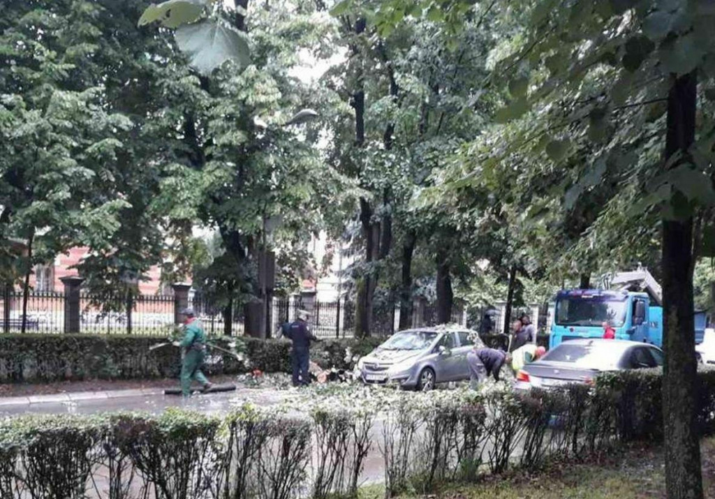 &lt;p&gt;Banja Luka: Drvo palo na automobil u pokretu&lt;/p&gt;
