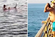 &lt;p&gt;Žena preminula nakon napada morskog psa, turisti snimili zastrašujući video: &amp;#39;Zgrabio ju je i okrenuo...&amp;#39;&lt;/p&gt;
