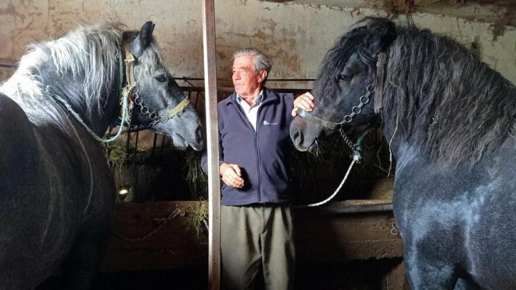 &lt;p&gt;Mato (85) je veliki zaljubljenik u konje&lt;/p&gt;
