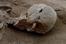 &lt;p&gt;Otkriven dokaz o najstarijoj kirurškoj amputaciji izvedenoj prije 31.000 godina&lt;/p&gt;
