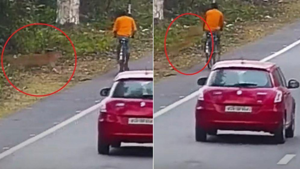 &lt;p&gt;Kamere snimile napad leoparda na biciklista, srećom prošao je bez težih ozljeda&lt;/p&gt;
