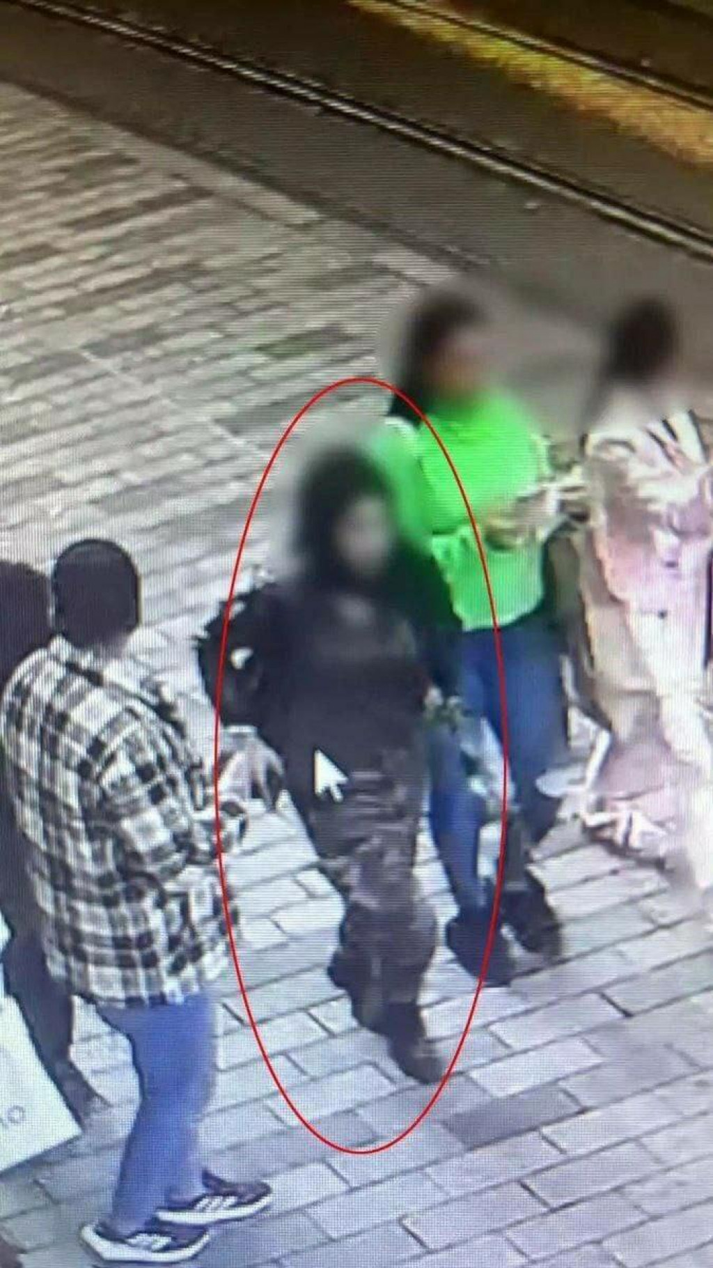 &lt;p&gt;Teroristički napad u Istanbulu izvršila žena&lt;/p&gt;
