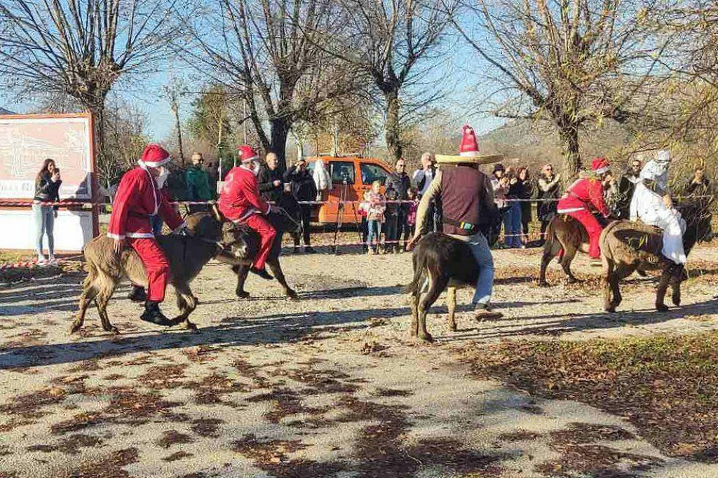 &lt;p&gt;ČAPLJINA, 18. prosinca (FENA) - U Čapljini je u nedjelju održana ”Utrka magaraca”, a najbrži je bio magarac Eustahije i njegov vlasnik Jozo Šimović. (Foto FENA/Konjički klub Vranac)&lt;/p&gt;
