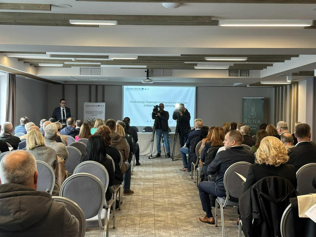 &lt;p&gt;U Mostaru je održana konferencija pod nazivom ”Potencijal maslinarstva kao razvojne poljoprivredne djelatnosti”. (FotoFENA/Monika Ćubela Savić)&lt;/p&gt;
