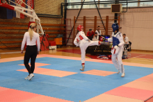 &lt;p&gt;Prvenstvo Bosne i Hercegovine u taekwondou&lt;/p&gt;

