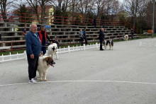 &lt;p&gt;Zana od Badrova iz Livna proglašena najljepšim psom na specijaliziranoj izložbi tornjaka&lt;/p&gt;
