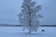 &lt;p&gt;Hladnoće u Finskoj&lt;/p&gt;