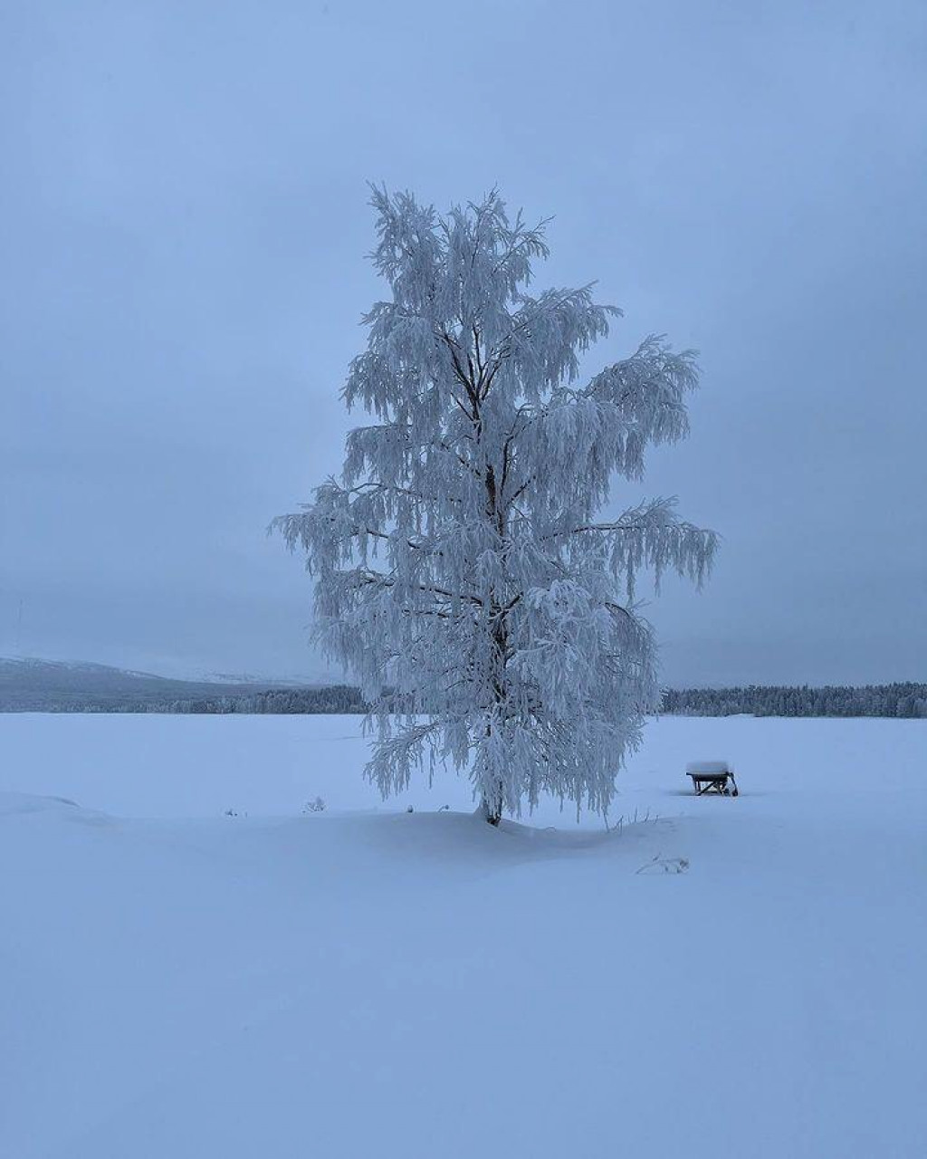 &lt;p&gt;Hladnoće u Finskoj&lt;/p&gt;