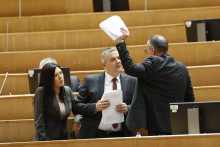 &lt;p&gt;Zastupnički dom Parlamentarne skupštine Bosne i Hercegovine&lt;/p&gt;