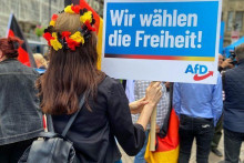 &lt;p&gt;AfD&lt;/p&gt;